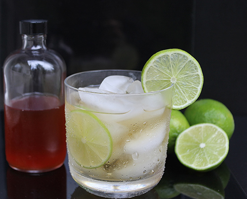 Gin with homemade tonic water