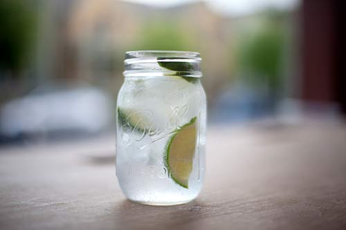 Glass of Gin and Tonic made with Cinchona Bark